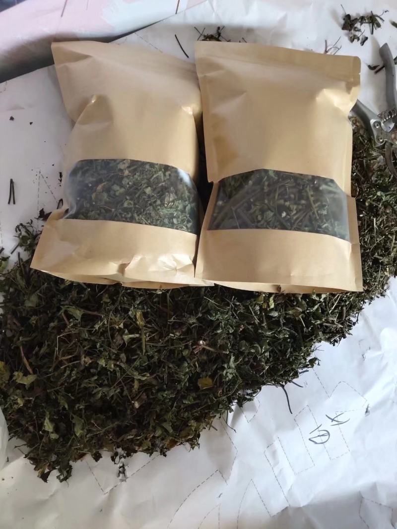 鬼针草、鬼钗草、虾钳草、蟹钳草、对叉草、粘人草、粘连子