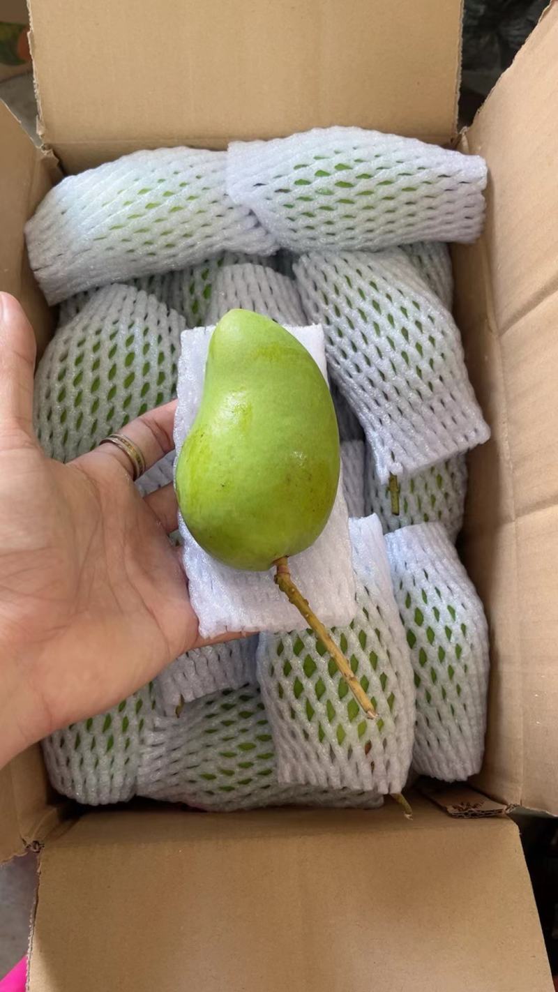 海南小台芒【一件代发】，3/5/9斤对接电商微商直播平台