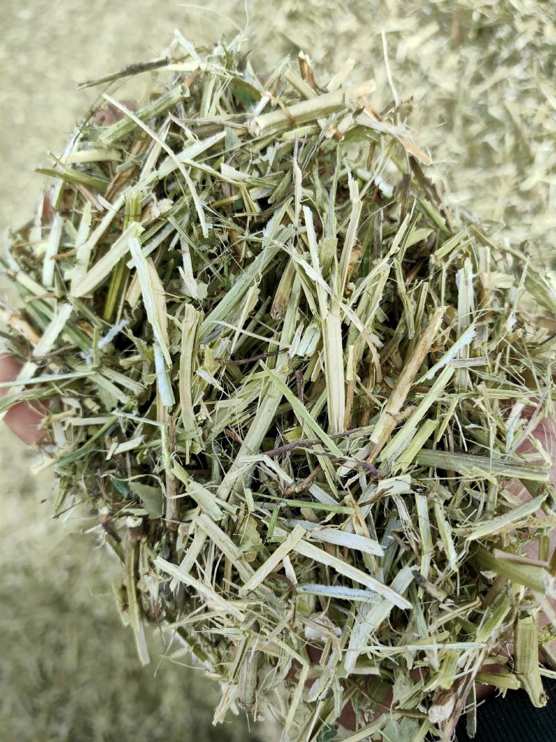 大量批发优质花生秧、青干草料、小麦秸秆、马牛羊草料