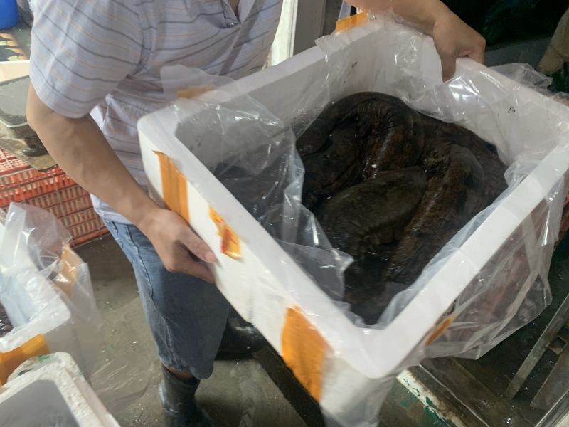 养殖场自供，价格美丽，欢迎咨询