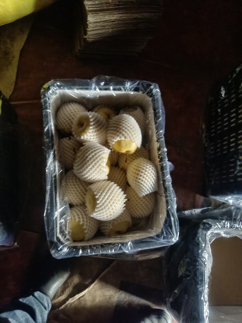 酥梨大量上市要的速度