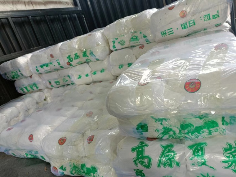 精品娃娃菜徐州娃娃菜各种规格品质保证