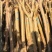 大量批发12-18公分偿苗占地紫薇，拆迁征地赔