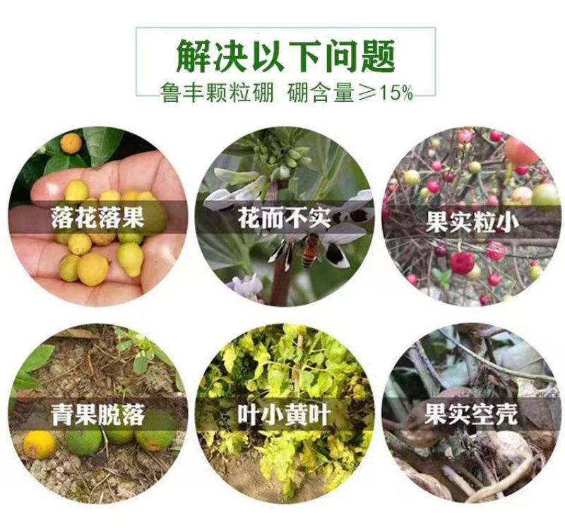 鲁丰颗粒硼保花保果籽粒饱满提高开花坐果率