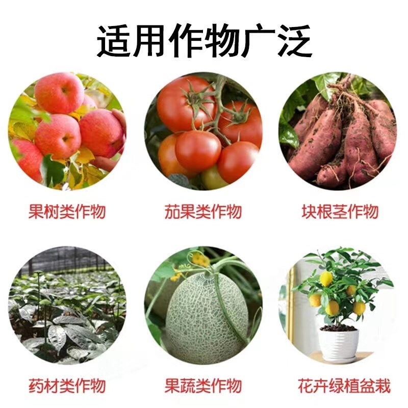 鲁丰颗粒硼保花保果籽粒饱满提高开花坐果率