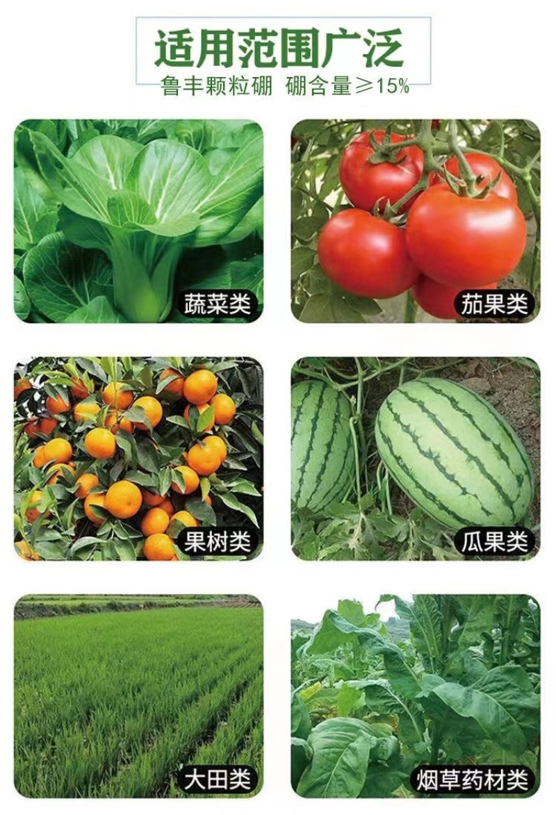 鲁丰颗粒硼保花保果籽粒饱满提高开花坐果率