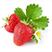 淡雪草莓，牛奶草莓，红草莓，
