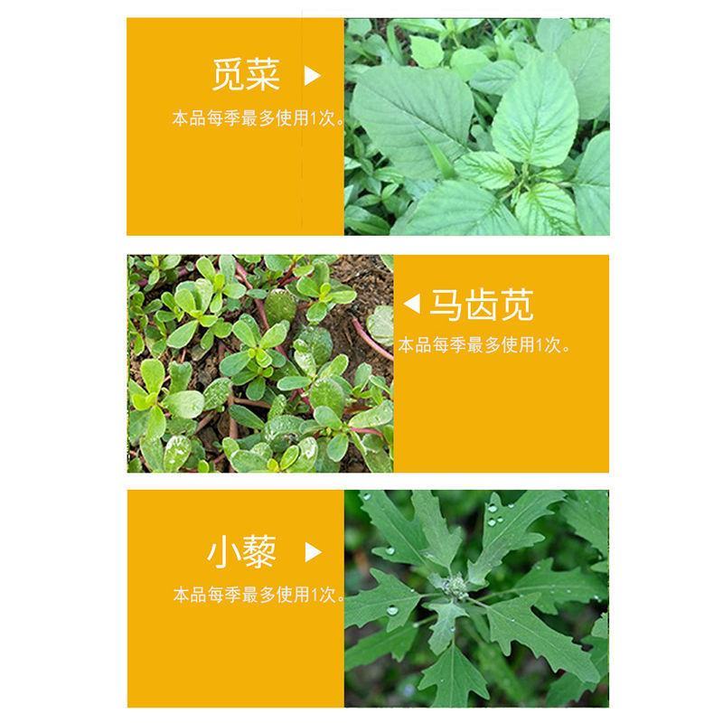 绿霸塔隆20%氯氟吡氧乙酸除草剂10毫升