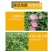 绿霸塔隆20%氯氟吡氧乙酸除草剂10毫升