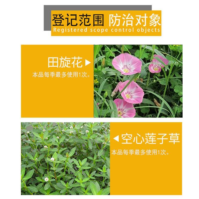 绿霸塔隆20%氯氟吡氧乙酸除草剂10毫升