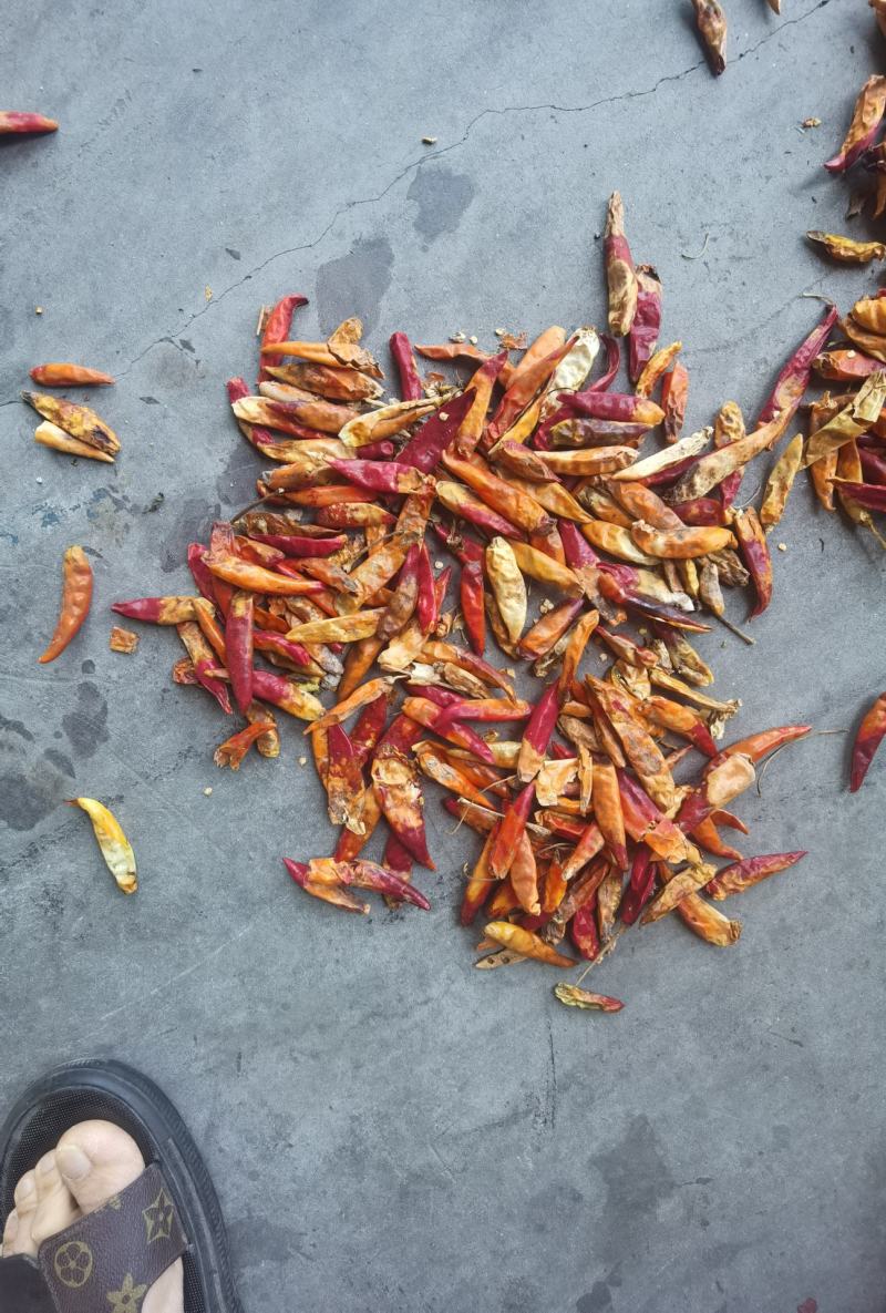 三英椒花皮，干度好，库内花皮库外都有货