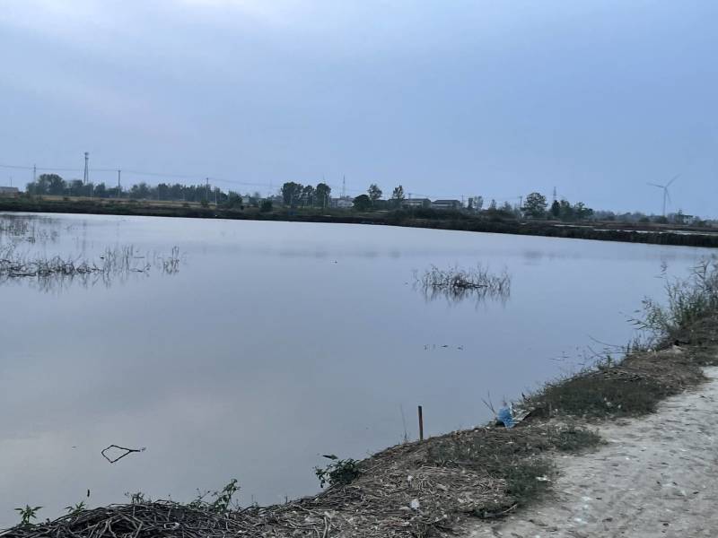 安徽阜阳鲫鱼产地一手货源价格美丽欢迎来电详谈