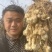 山东新鲜洋姜鬼子姜、菊芋、白皮洋姜每天现挖，量大优惠