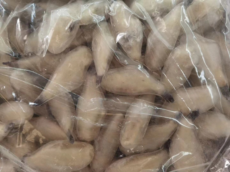 北海厂家一手直供马面鱼扒皮鱼耗儿鱼物美价廉