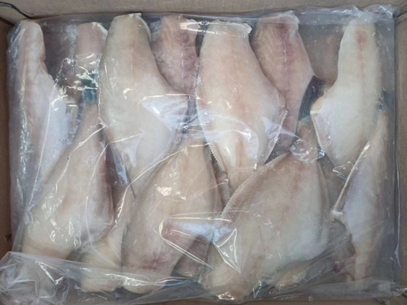 北海厂家一手直供马面鱼扒皮鱼耗儿鱼物美价廉