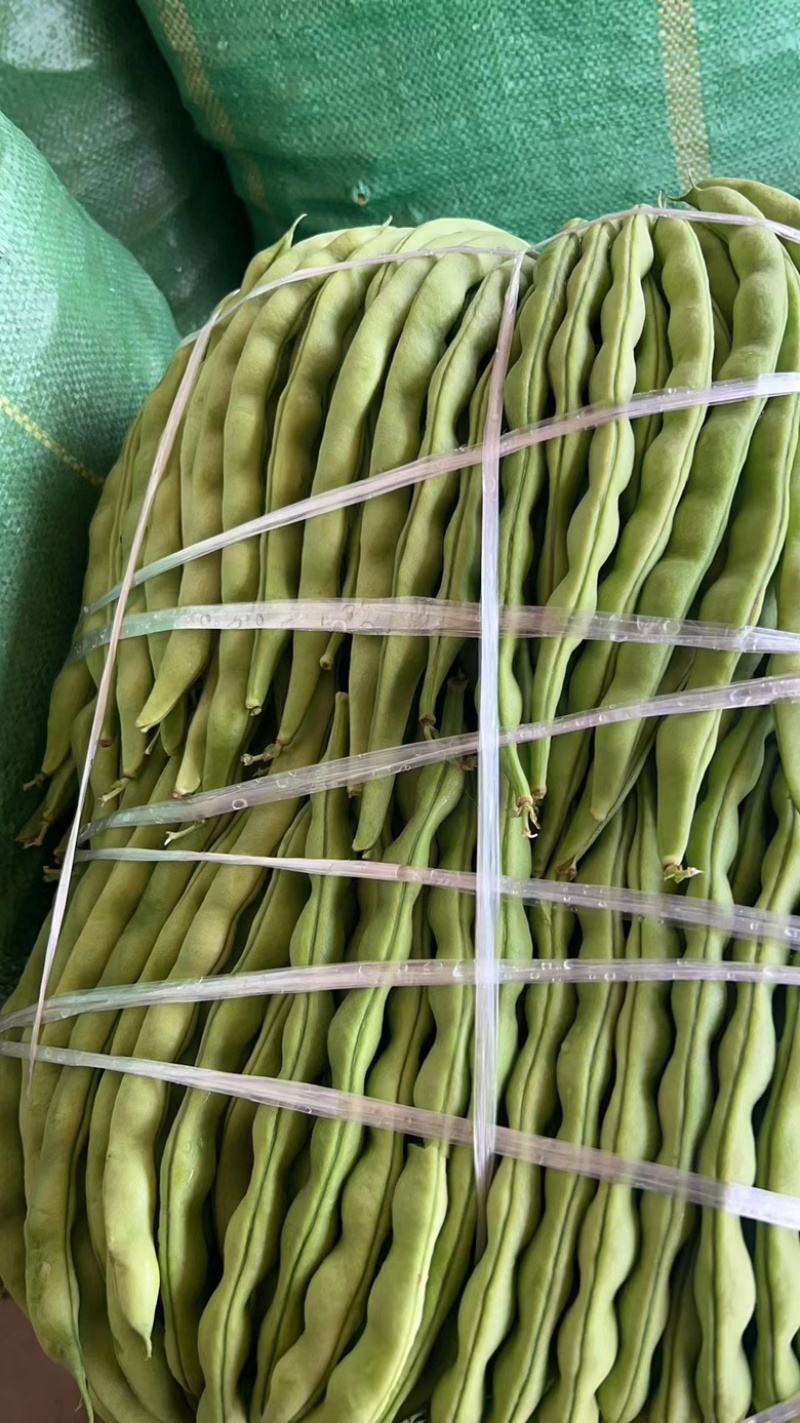 大青豆