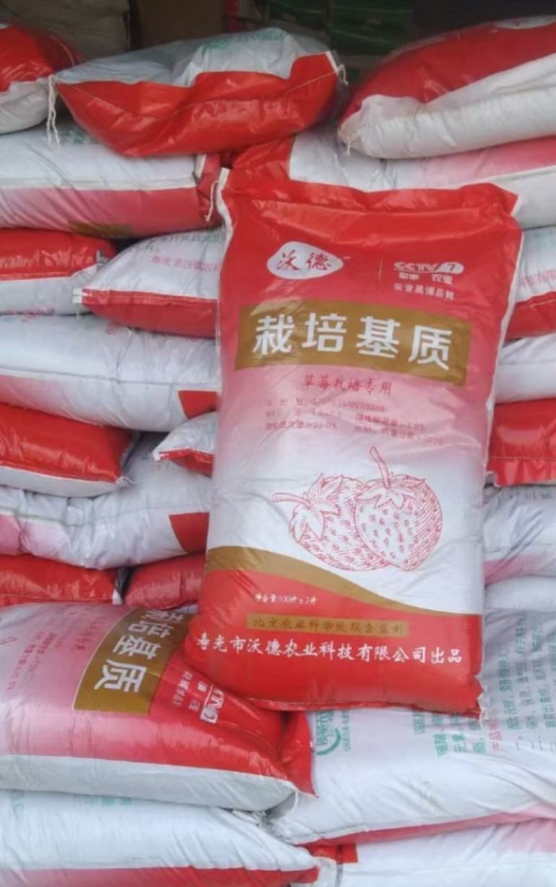 长丰红颜草莓基质种苗销售中……