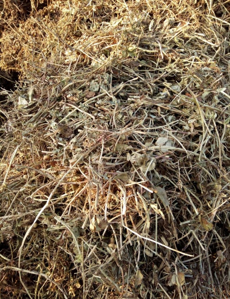 干草花生秧，无土无膜无霉变，大量供应，整车批发