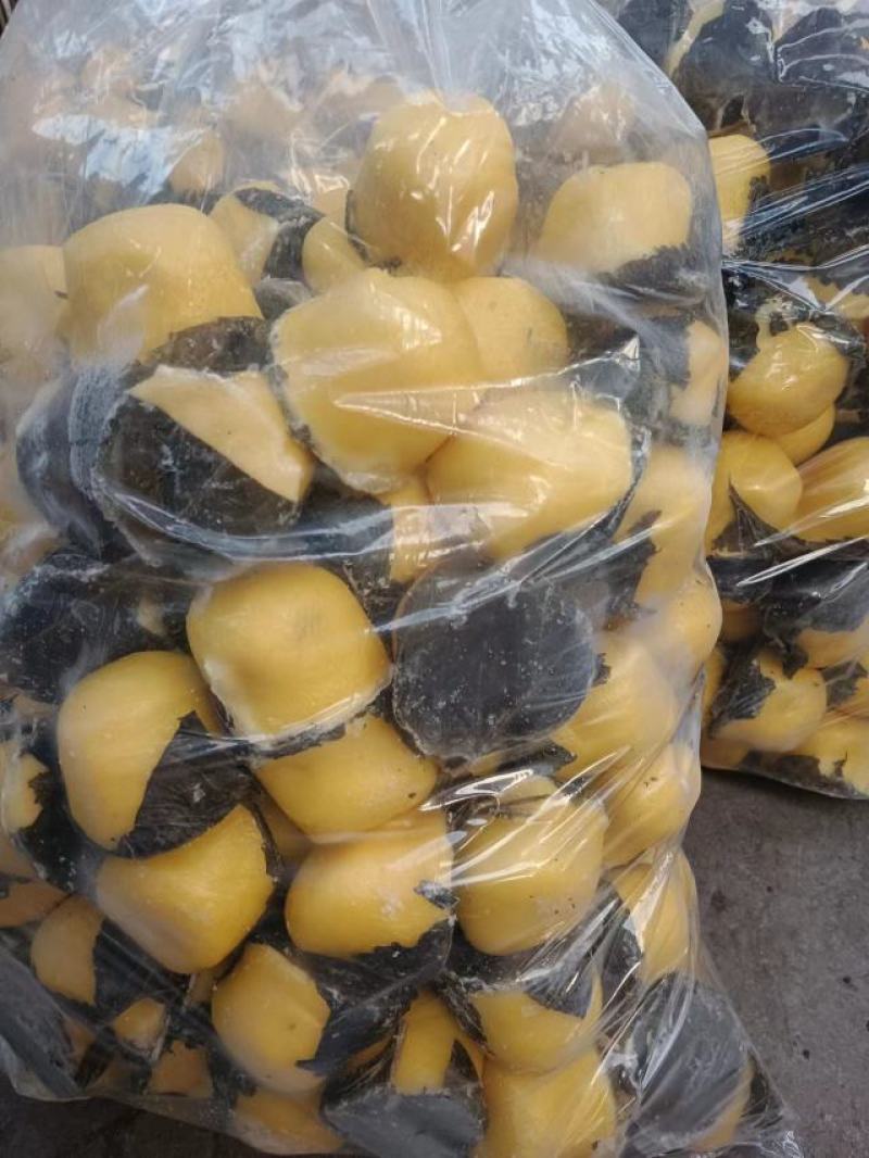 辽宁精品粘豆包厂家直发品质保证一手货源欢迎联系