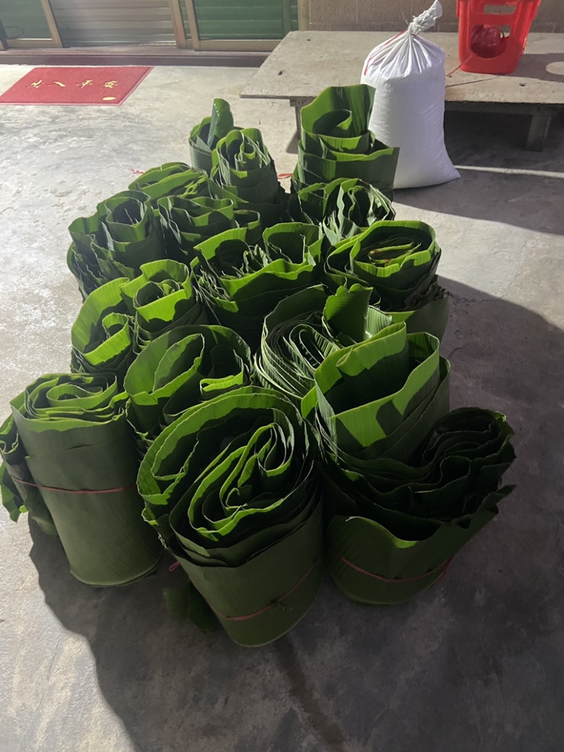新鲜芭蕉叶