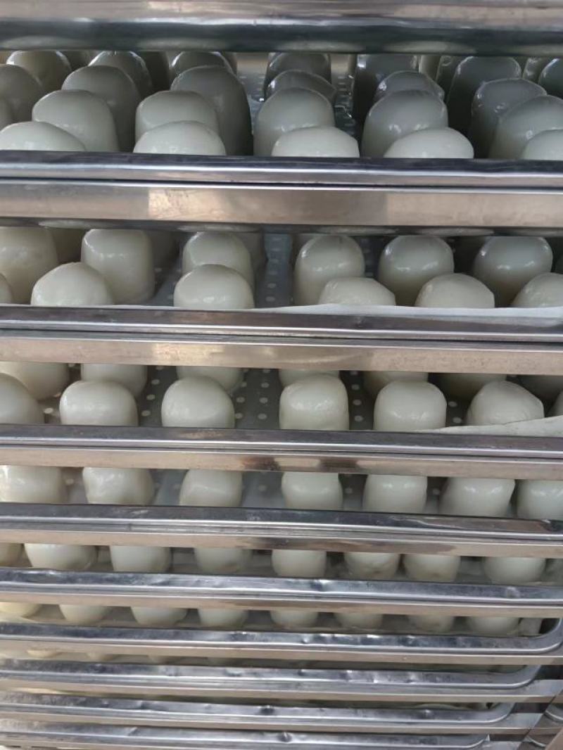 辽宁精品粘豆包厂家直发品质保证支持视频看货
