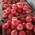河北精品硬粉西红柿、水果西红柿产地，保质保量，长期供应