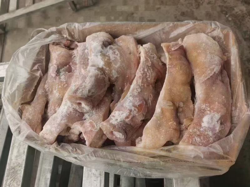 鸿运当头，劈半猪脸，猪头，山东临沂亿鑫副食常年对外发货。