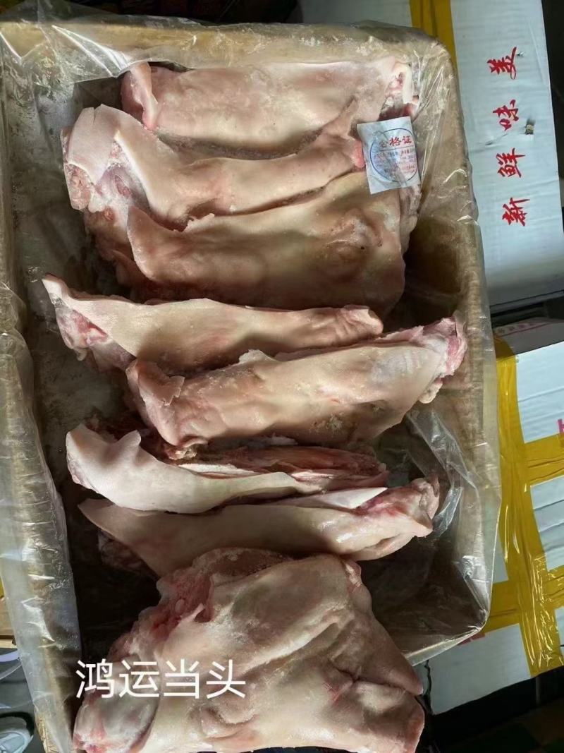 鸿运当头，劈半猪脸，猪头，山东临沂亿鑫副食常年对外发货。