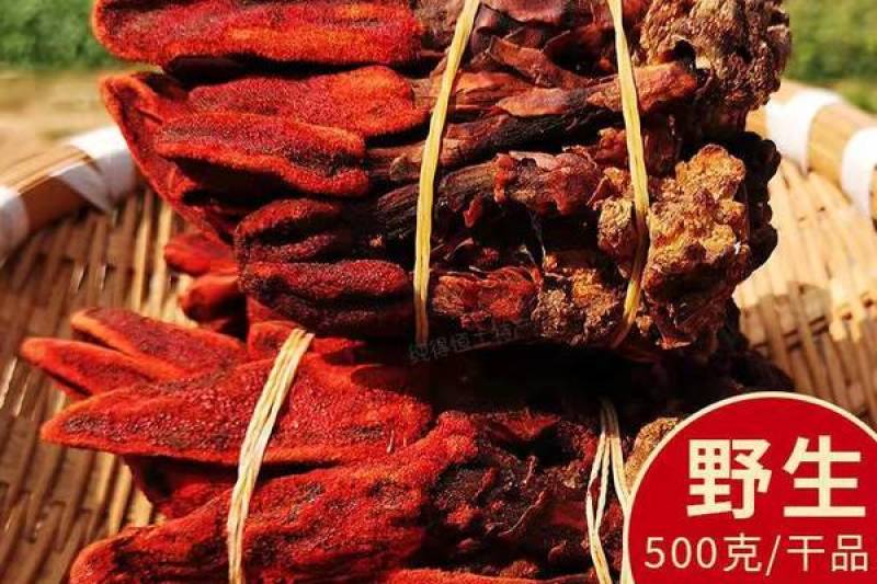 精品干回春草纯野生大量上市品质保证诚信经营可视频看货