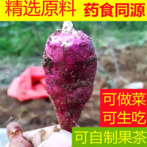 山东胰岛果红果菊芋红皮洋姜纺锤洋姜产地直发