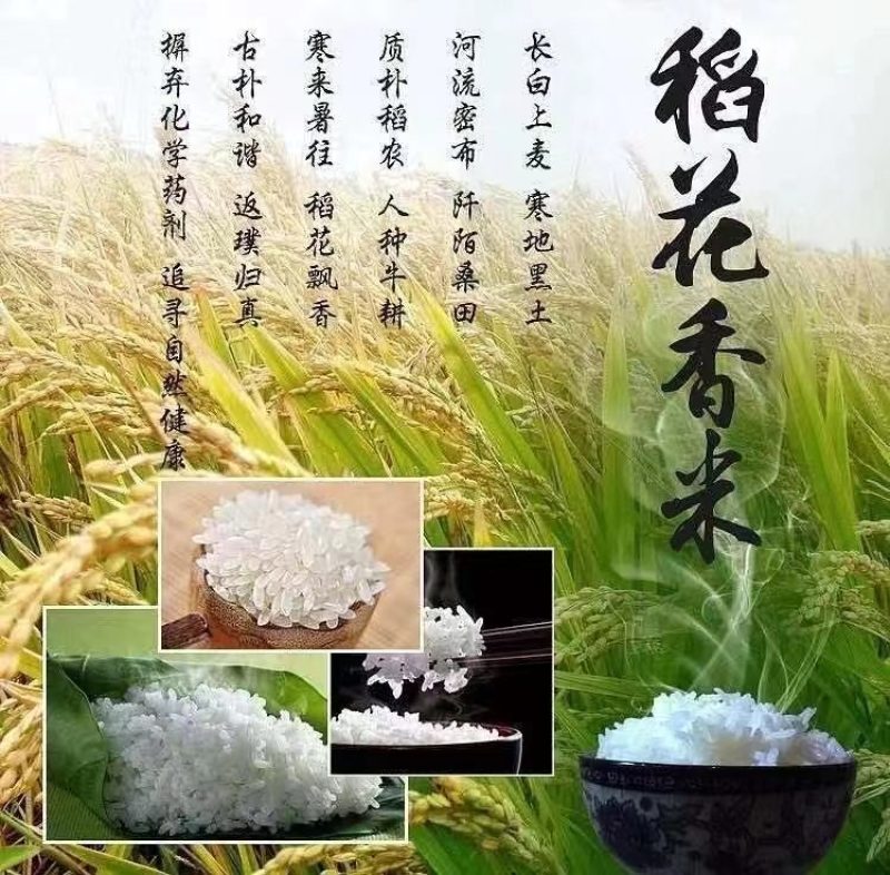 精品大米稻花香长粒米产地品质保证欢迎电话联系