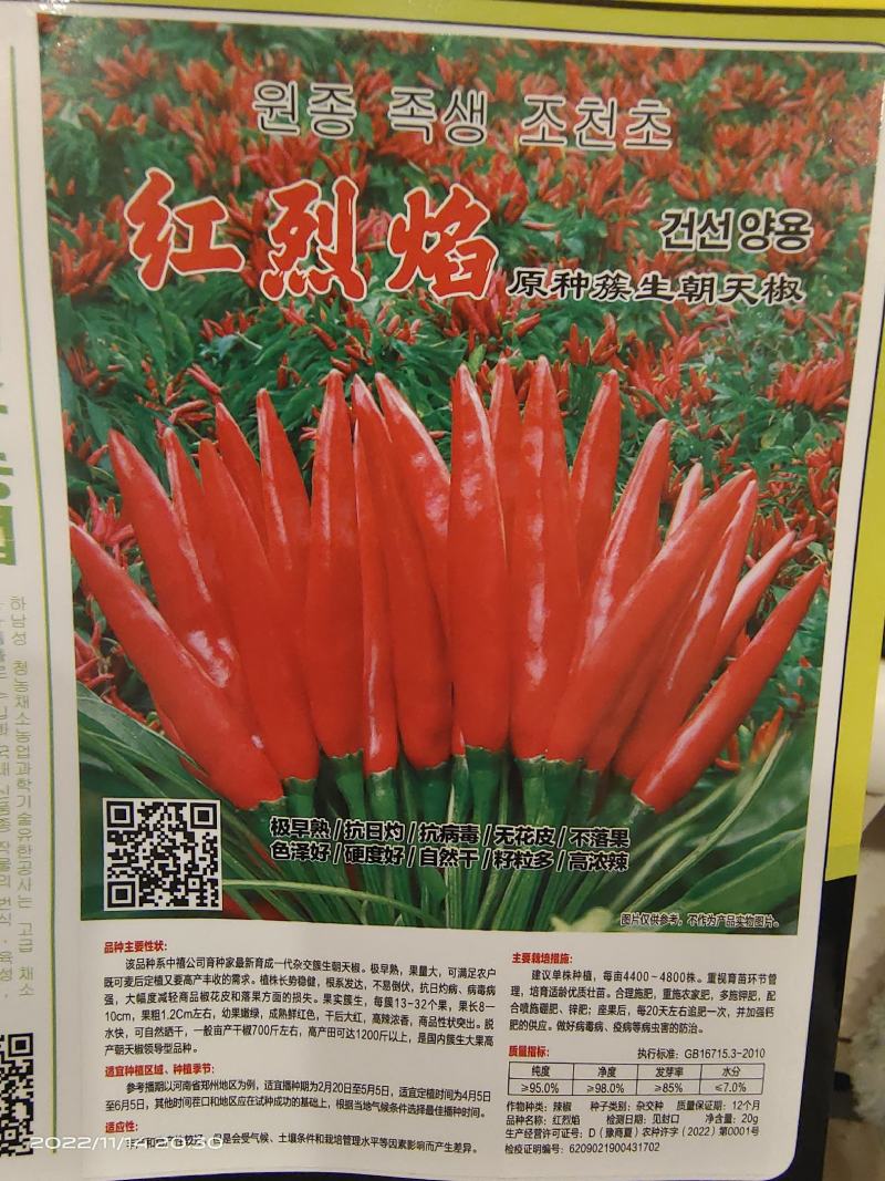 【商家】红烈焰朝天椒种子簇生朝天椒早熟抗病毒2000粒