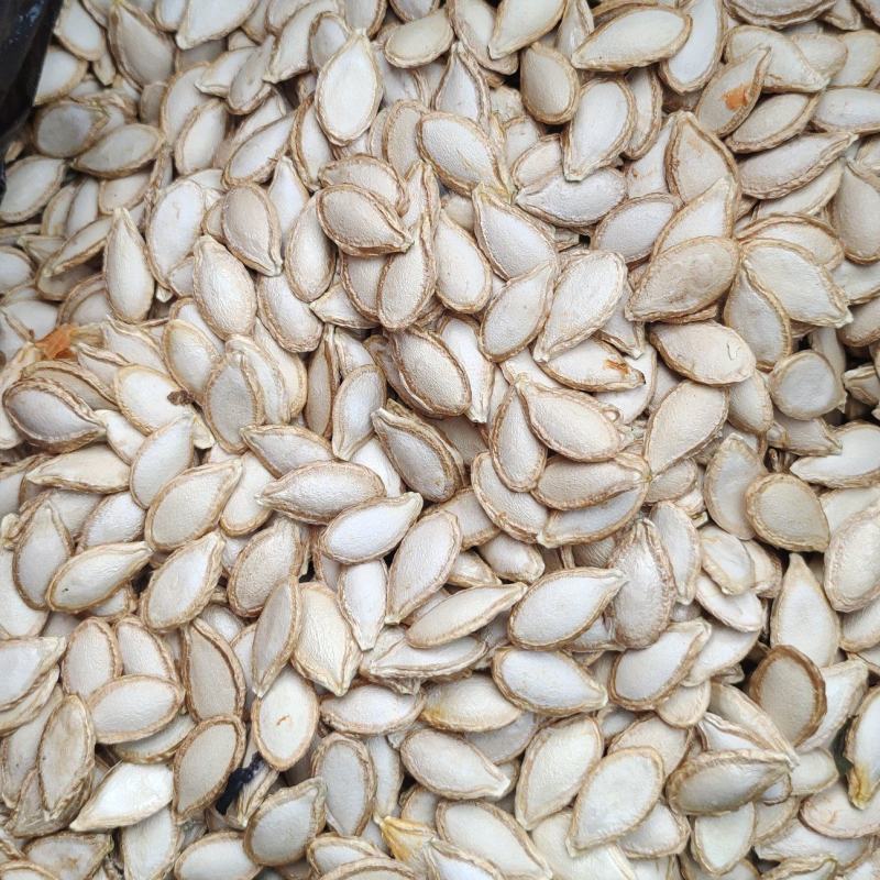 南瓜籽原古老南瓜籽干货颗粒饱满味道香甜可口