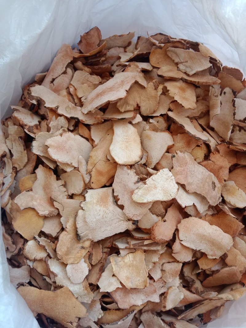 精品野生白肉粉质土茯苓干片量大从欢迎咨询