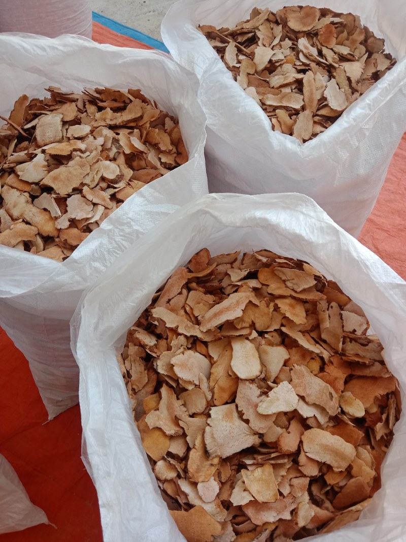 精品野生白肉粉质土茯苓干片量大从欢迎咨询
