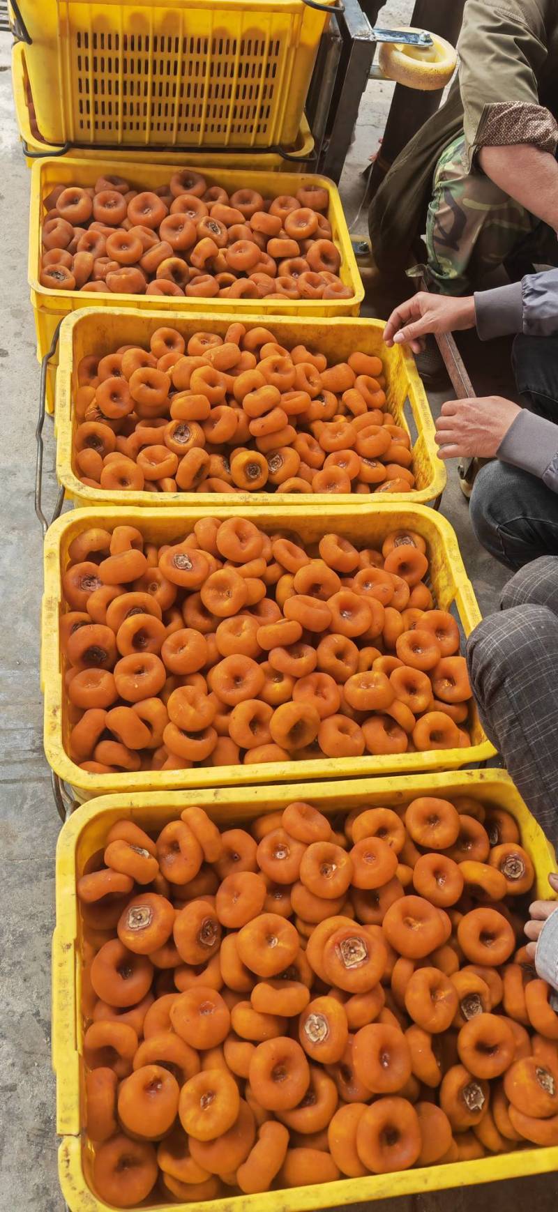 优质礼盒柿饼广西桂林柿饼产地恭城柿饼平乐县柿饼中大特饼