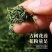杜仲特级花茶湖南野生杜仲花粉多男性肾亏腰茶养生保健