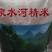 湖北省钟祥市张集镇纯泉水灌溉种植的长粒香富晒大米。