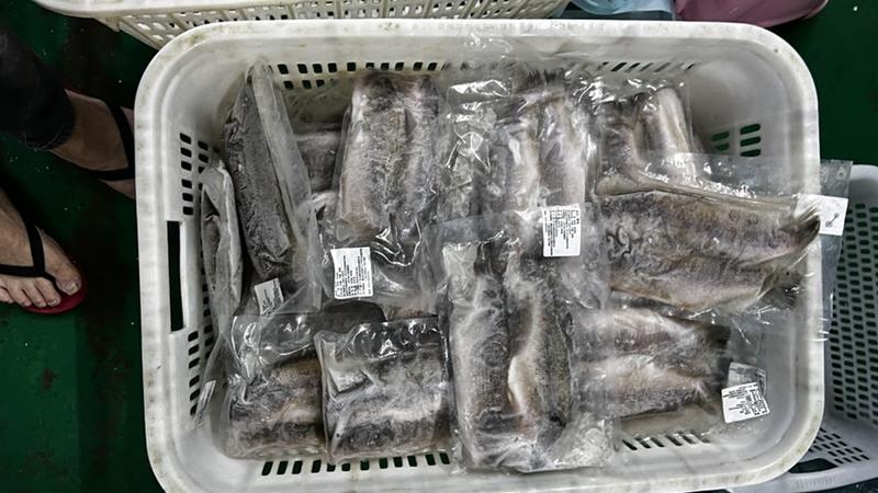 鲈鱼冰鲜鲈鱼优质冰鲜鲈鱼，全年稳定供应，各地可邮