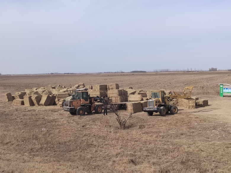 小麦秸秆打包机作业