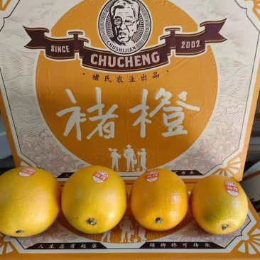 褚橙一件代发电商一件代发落地配社区团购