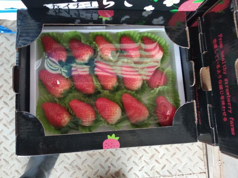万亩草莓久香联盟天仙醉艳丽金刚货源稳定精品包装，供应全国