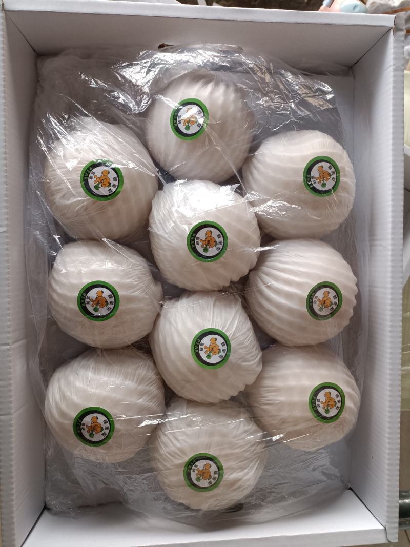 年货礼黄金蜜梨山西隰县蜜梨梨山西蜜梨隰县蜂蜜梨