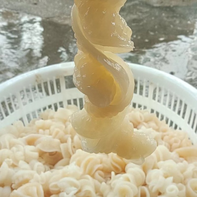 鱼肠，自家工厂，欢迎新老顾客回购，需要的来
