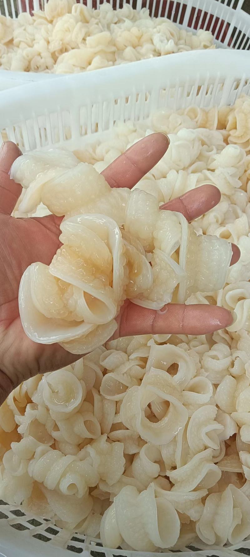 鱼肠，自家工厂，欢迎新老顾客回购，需要的来
