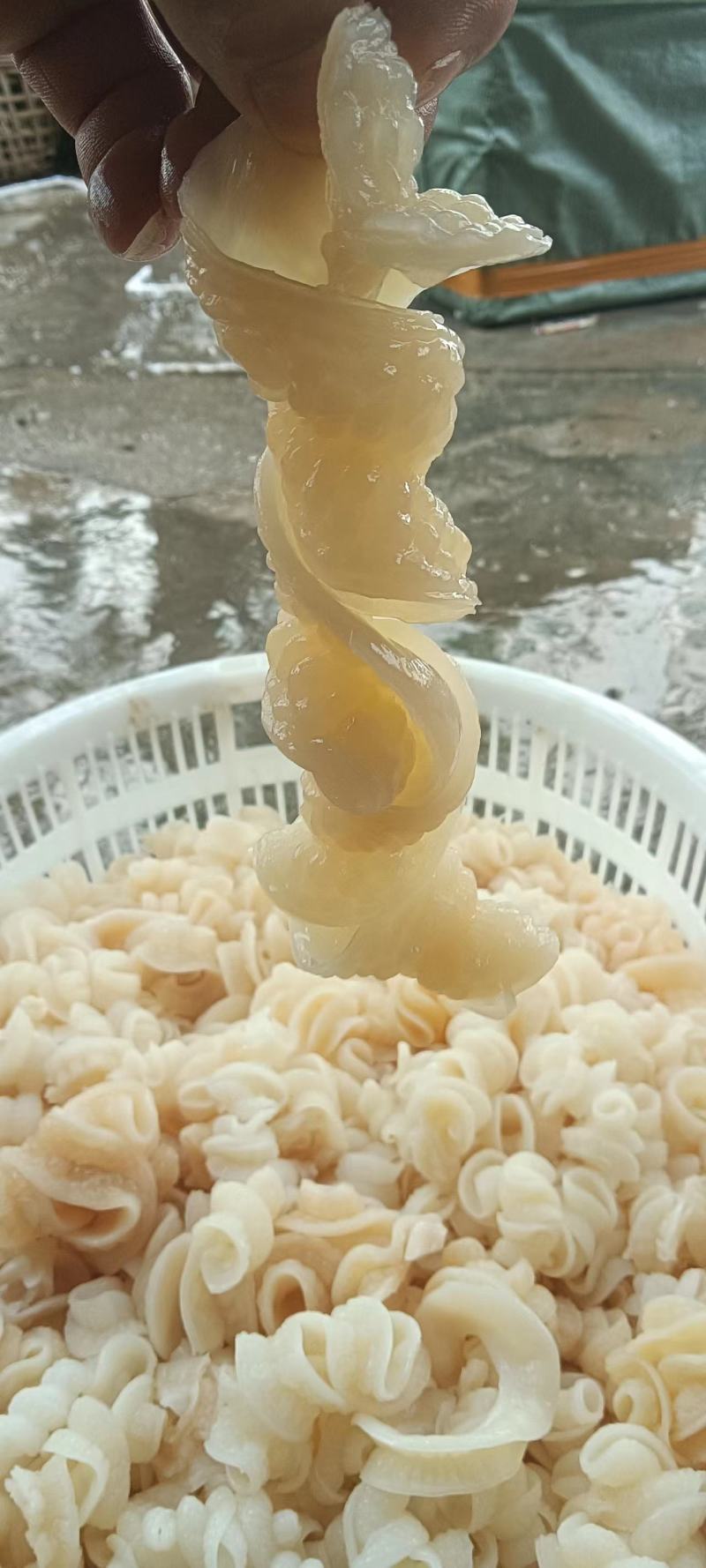 鱼肠，自家工厂，欢迎新老顾客回购，需要的来