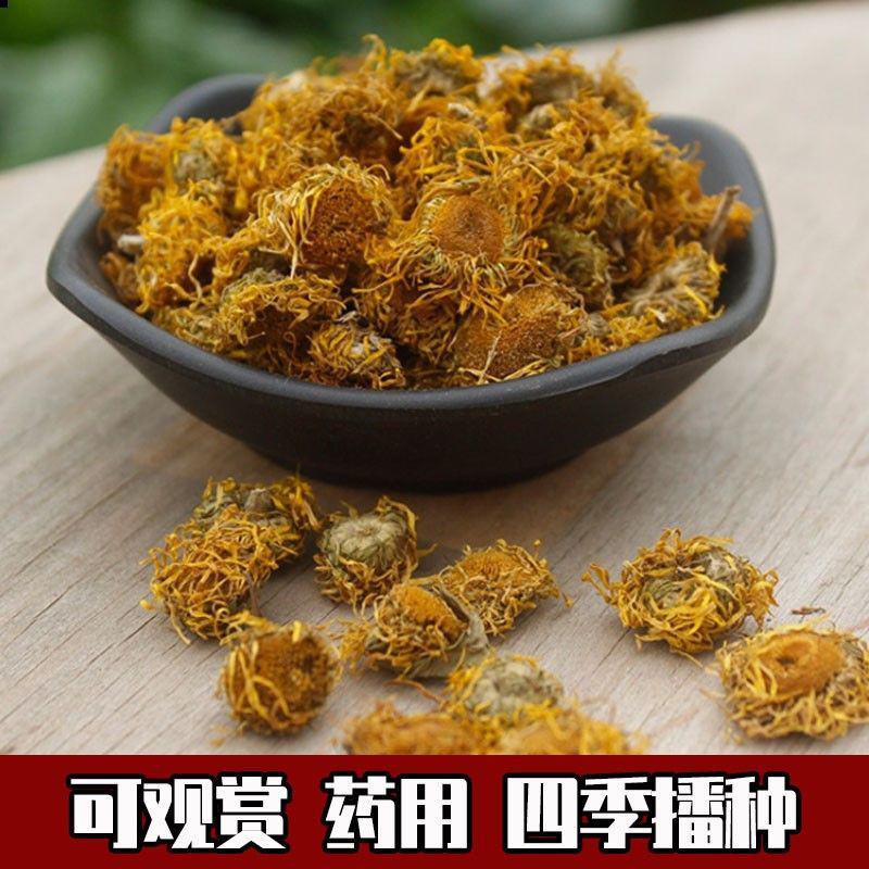 旋覆花种子草籽别名金佛花种子四季开花金佛草籽六月菊旋复花