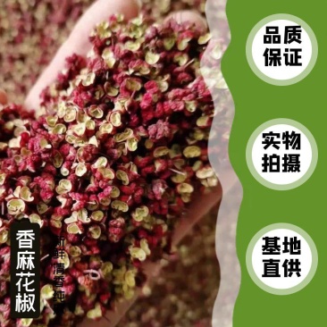 韩城大红袍花椒，特级花椒，味道纯正，口感香麻，欢迎选购