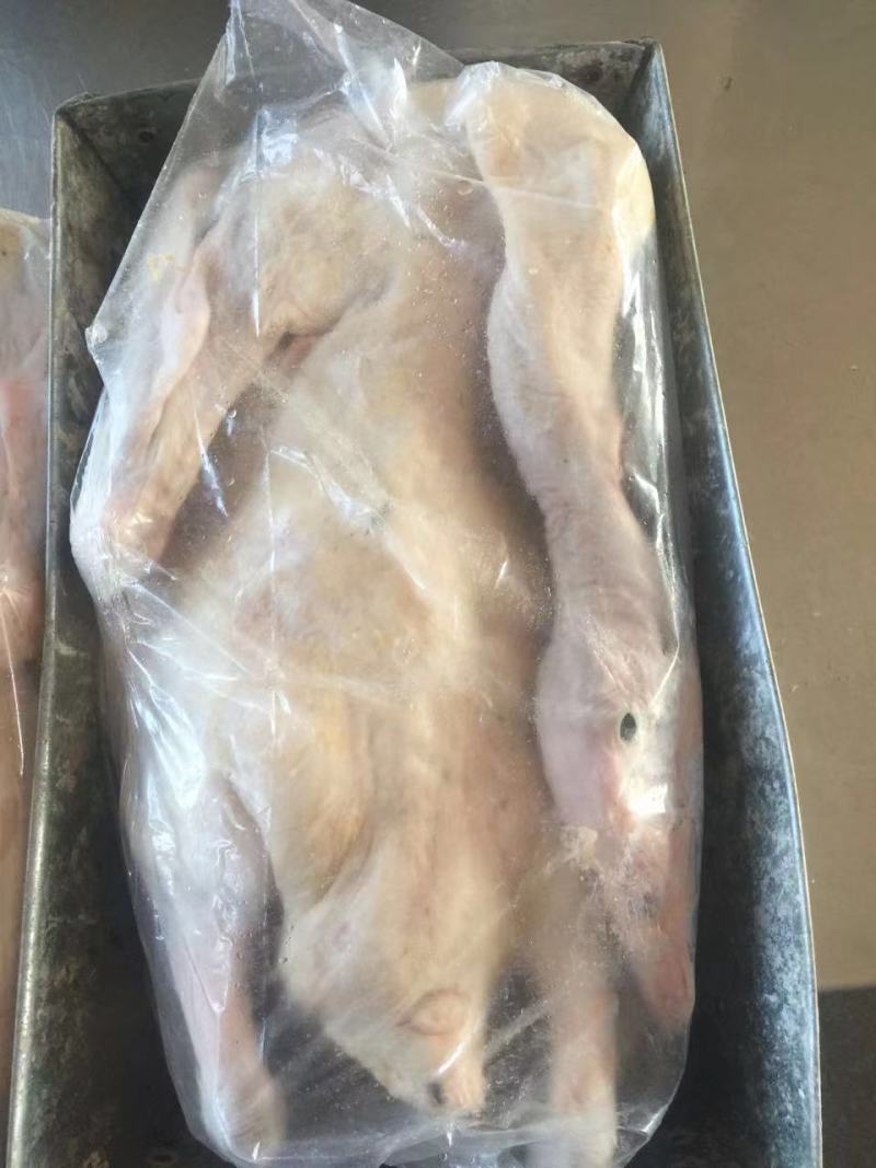 厂家供应各种白条鹅去皮鹅二光鹅三光鹅