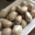 菠萝蜜核仁菠萝蜜籽仁核菠萝蜜果核仁籽新鲜大树菠萝蜜核籽仁